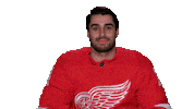 Red Wings Sport Sticker by Detroit Red Wings