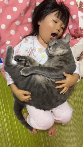 cuteanimalland giphyupload GIF