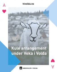 Party College GIF by Høgskulen i Volda