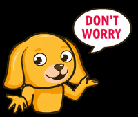 No Worries Puppy GIF by MyMorningDog