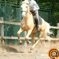 Happy Fun GIF by SWR Kindernetz