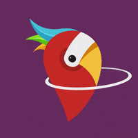 travel explore GIF by HolidayPirates