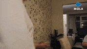 Fun Love GIF by MolaTV
