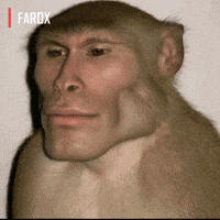 Chad GIF