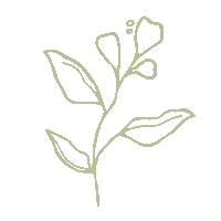 Leaf Singapore Sticker by zeeandelle