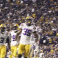 College Football GIF by LSU Tigers