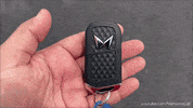 Driving Lets Go GIF by Namaste Car