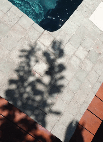 Pool Portrait GIF by Chris