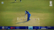 Virat Kohli GIF