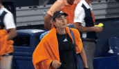 Avanesyan GIF
