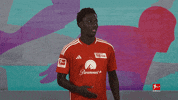 Union Berlin Football GIF by Bundesliga