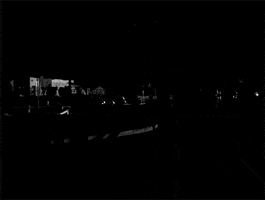 raoul walsh GIF by Maudit