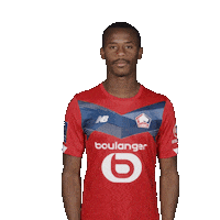 LOSClive football lille losc djalo Sticker