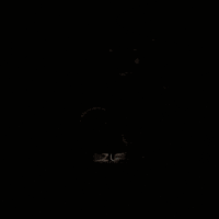 lizupprofessional lizup lizuppro escovaorganica lizupprofessional GIF