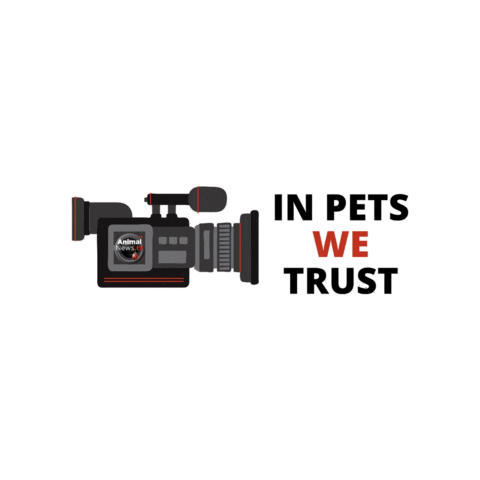 AnimalNewsTV giphygifmaker Sticker