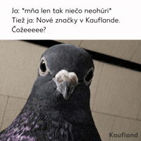 Shopping What GIF by Kaufland Slovensko