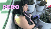 Bad Bunny Season GIF