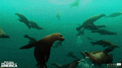good morning hello GIF by Acorn TV
