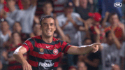 wswanderersfc reaction football goal wanderers GIF