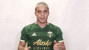 timbersfc soccer mls timbers rctid GIF