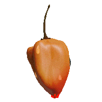 Fire 3D Sticker by rvd