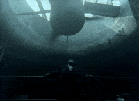 Film Fan GIF