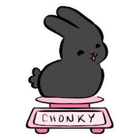 Scale Cute Bunny Sticker