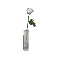メゾフルの日 Sticker by Maison de FLEUR