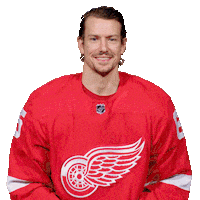 Swipe Up Ice Hockey Sticker by Detroit Red Wings