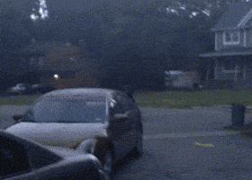 Bear Walking GIF