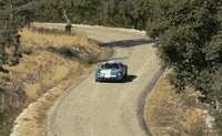 France Rally GIF by Mecanicus