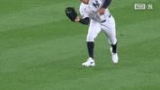 New York Yankees Sport GIF by MLB