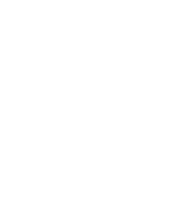 Star Sticker