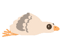 Bird Illustrator Sticker