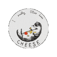 Jimbobart illustration cheese snack wildlife Sticker
