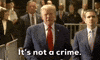 Donald Trump GIF by GIPHY News