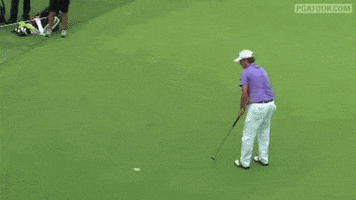 zach johnson no GIF