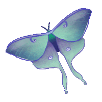 Gay Pride Sticker by Contextual.Matters