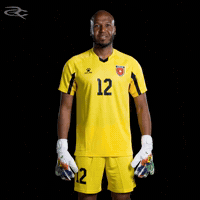 Fifa World Cup Jordan GIF by Respective