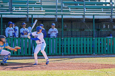 Baseball GIF by TCABB