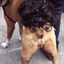 JamileDesigns giphyupload GIF