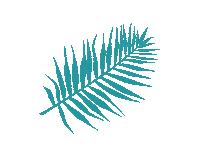 stadtmarketingdeggendorf flower blume kauflokal farn Sticker