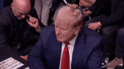 Donald Trump Sport GIF by UFC