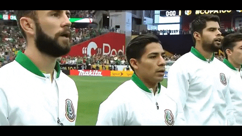 futbol mexicano mexico GIF by MiSelecciónMX