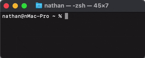 natworkeffects giphyupload vscode fastapi GIF