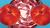 stop motion animation GIF by Phyllis Ma