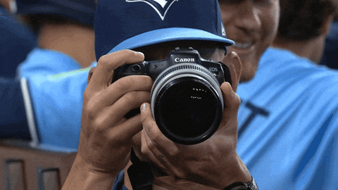 Blue Jays Baseball GIF by Toronto Blue Jays