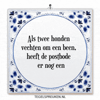Humor Nl GIF by Tegelspreuken.nl