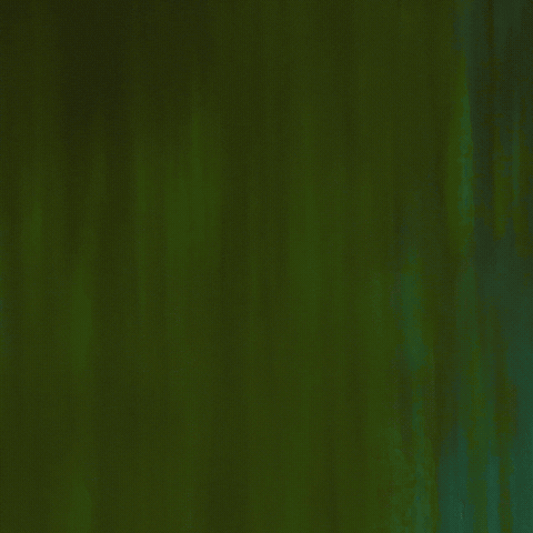 Scream Yell GIF by GrandCanyonTV