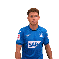 Dennis Geiger Sport Sticker by TSG Hoffenheim